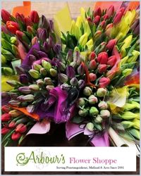 Bright, colourful tulips yet to open with the words Arbours Flower Shoppe below